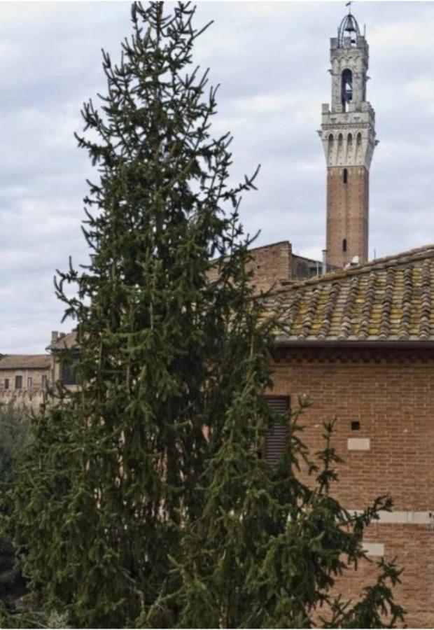Gasthof Vicolo Dell'oro *