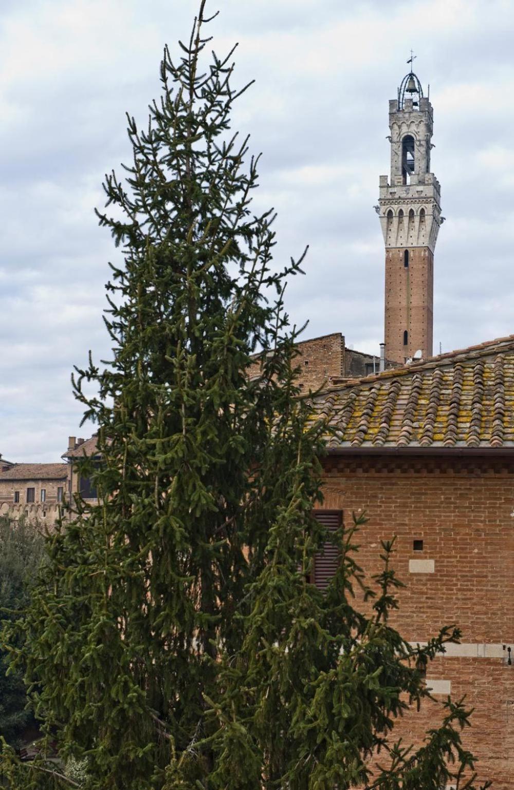 Guest house Vicolo Dell'oro *
