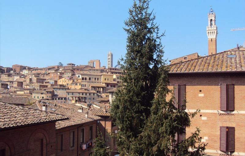 Vicolo Dell'oro